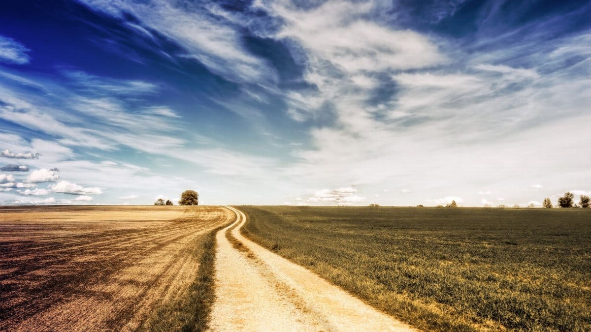 Vibrant rural landscape featuring a winding dirt road through expansive farmland under a dramatic sky.