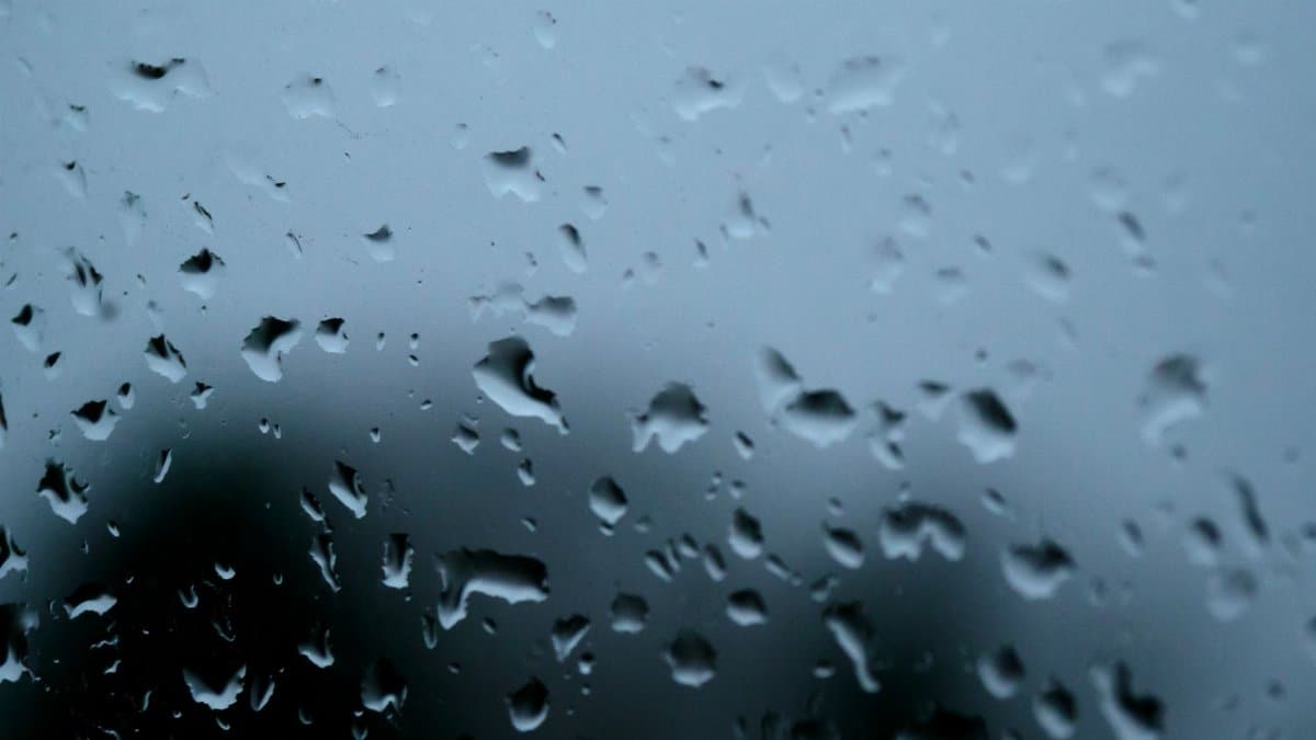 Serene close-up of raindrops on a glass window, evoking a calming rainy day mood.