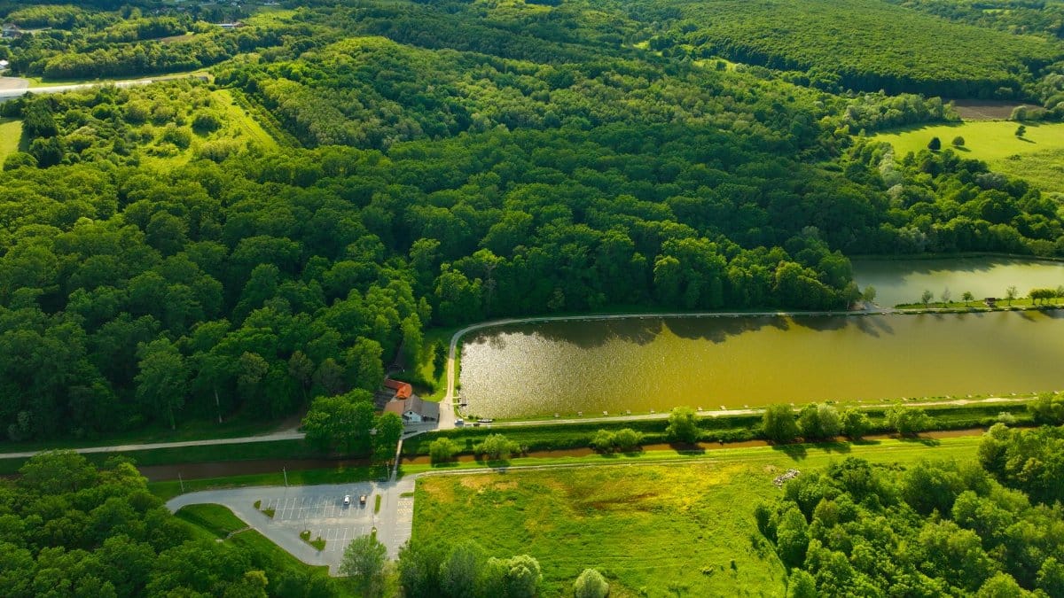 Scenic aerial view of lush greenery and water near Garešnica, Croatia, depicting serene, natural beauty.
