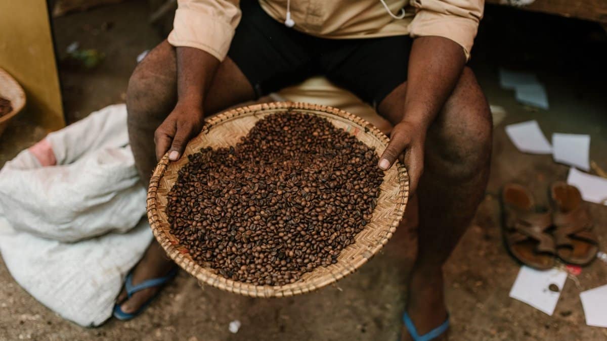From above of unrecognizable ethnic person sitting with plate full of roasted coffee beans at local market