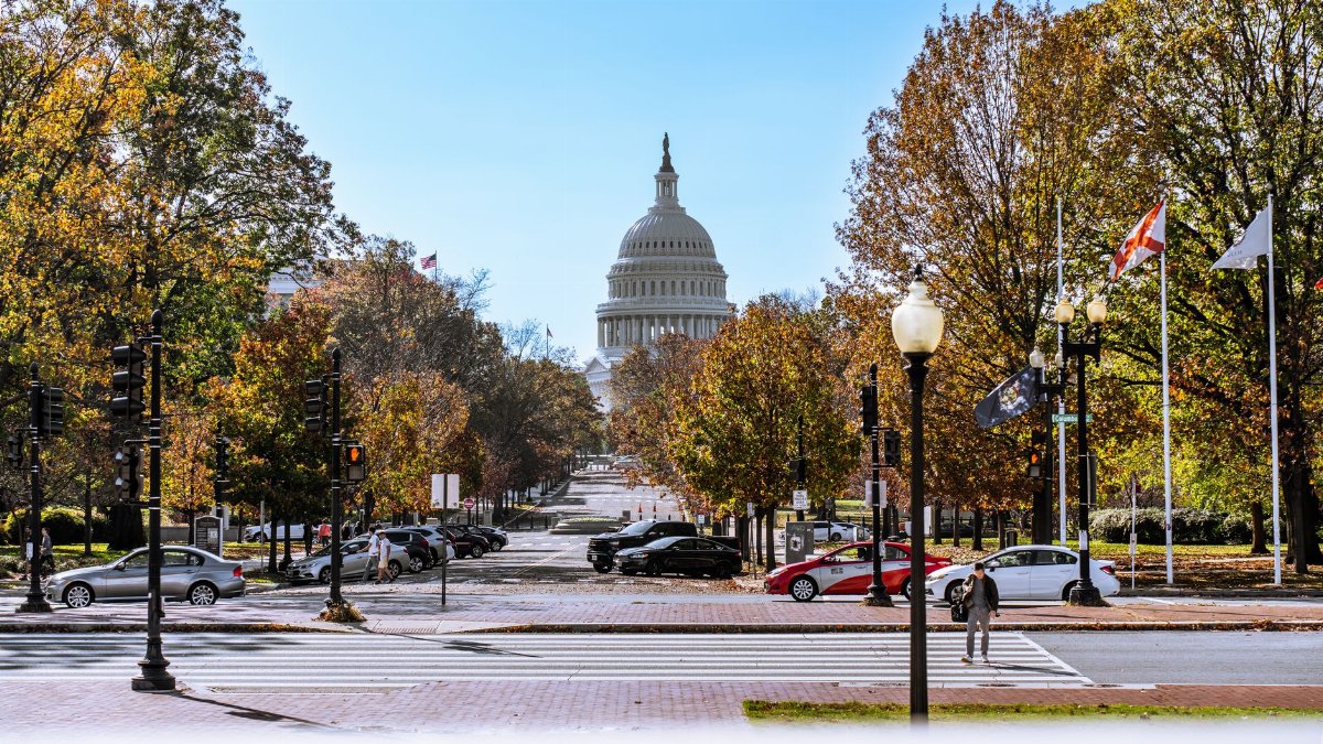 The United States Capitol building viewed from a street lined with autumn trees.