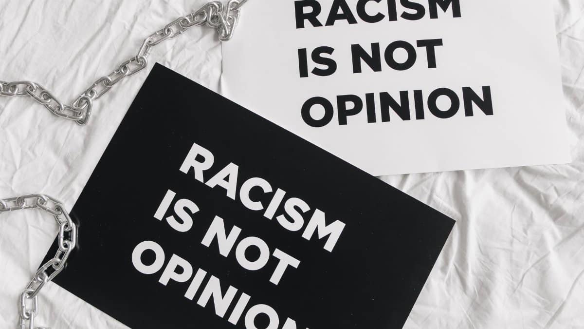 Black and white protest signs reading 'Racism is Not Opinion' on white fabric.