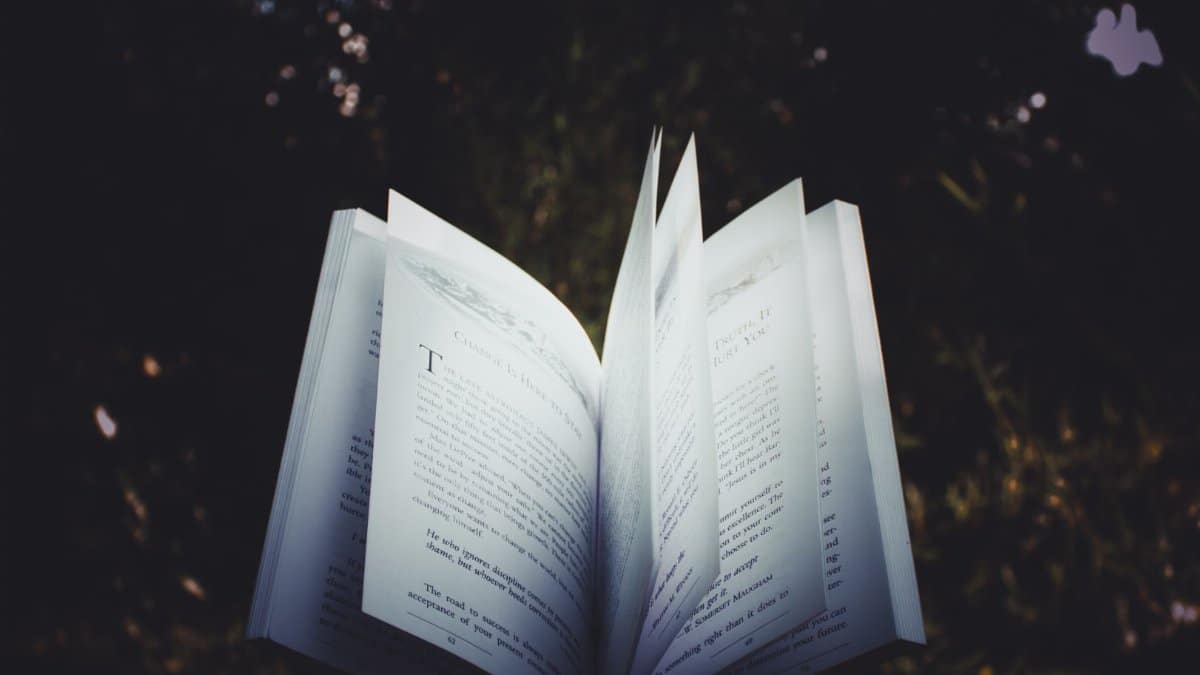 An open book with pages turning, captured outdoors, creating a dreamy reading atmosphere.