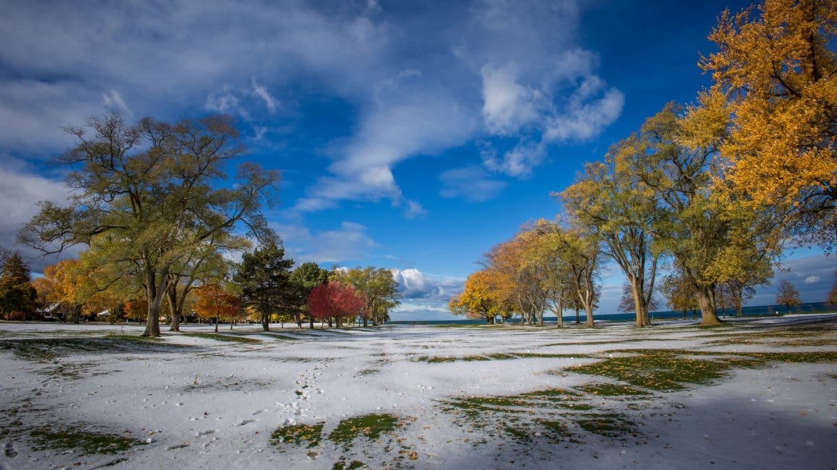 Captivating autumn park with colorful foliage and early snow under a clear blue sky.