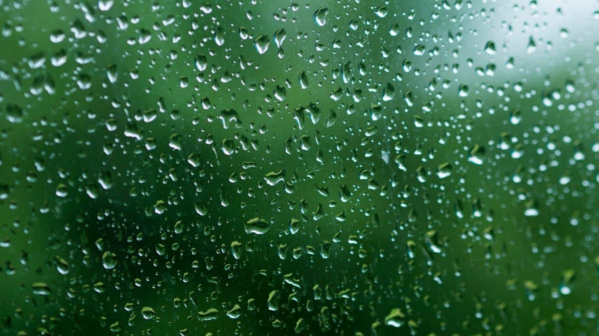 Close-up view of rain droplets on glass against a vibrant green background, evoking a fresh and calming atmosphere.