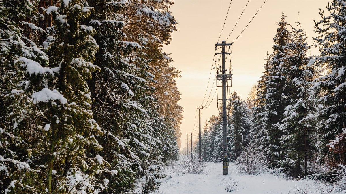 A serene snowy forest landscape with power lines at sunset, capturing the essence of winter.