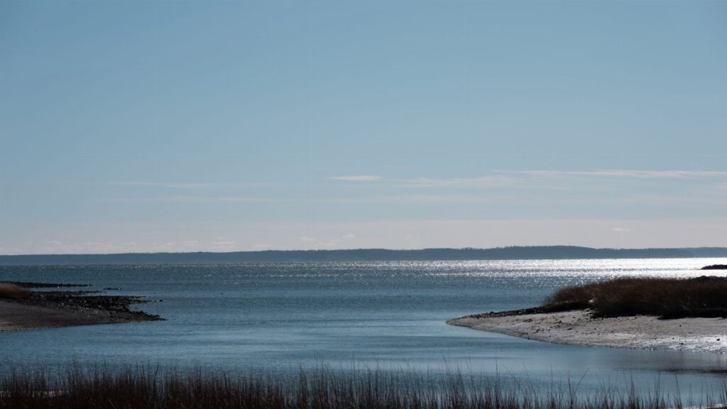 Peaceful coastal scene at Cove Island Park, Stamford with tranquil waters and clear sky.