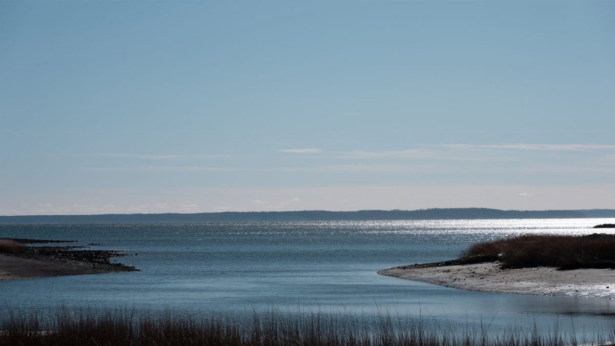 Peaceful coastal scene at Cove Island Park, Stamford with tranquil waters and clear sky.
