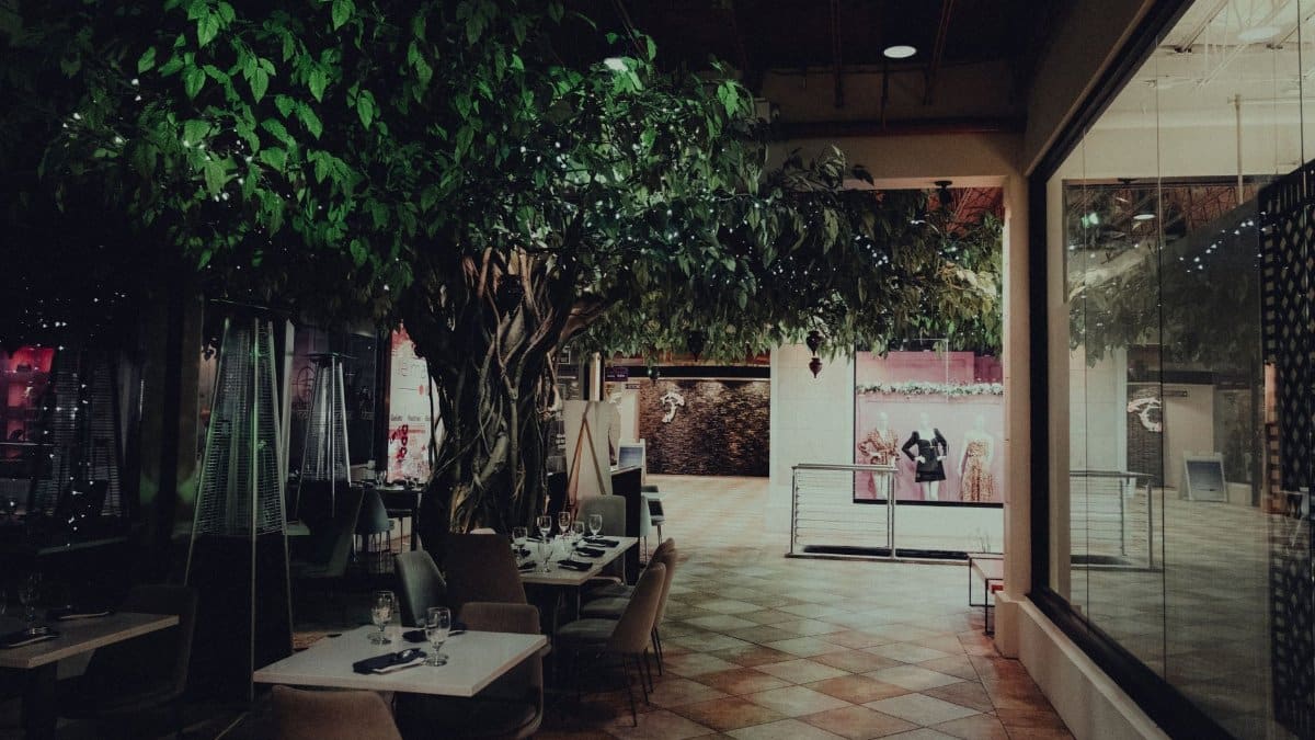 Chic restaurant interior featuring large indoor plants and elegant decor in a shopping center.