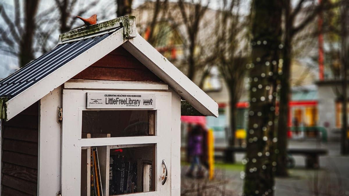 A close-up of a Little Free Library in a peaceful urban park with trees in the background.