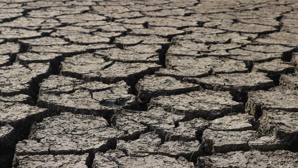 Aerial view of cracked, dry ground representing drought and environmental stress.