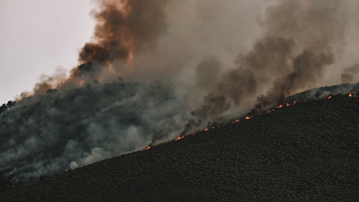 Intense forest fire spreading across a mountainside with thick smoke billowing into the sky.