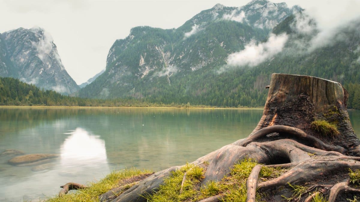 Tranquil view of a mountain lake surrounded by lush forests and majestic peaks in Switzerland.