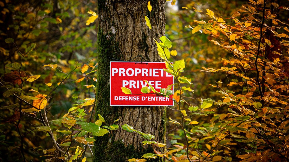 A French 'Private Property' sign on a tree amidst vibrant autumn foliage.