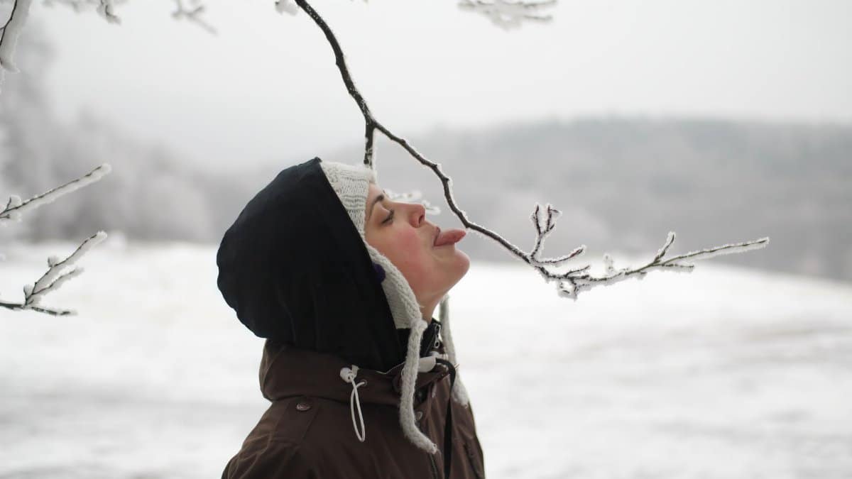 Woman licking ice-covered tree branch on a snowy day, enjoying the winter scene.