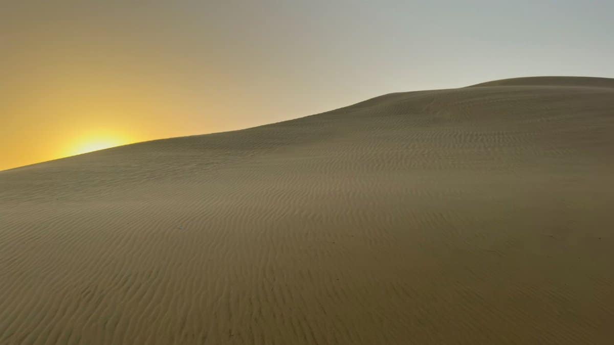 Peaceful sand dunes illuminated by the rising sun, showcasing nature's beauty in the desert.