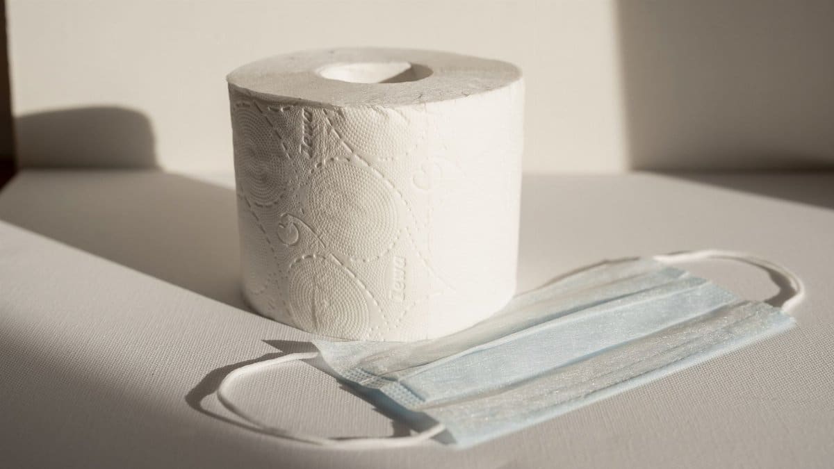 A toilet paper roll and face mask captured in natural light, symbolizing modern hygiene essentials.