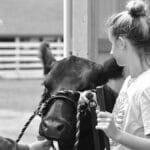 Two teenagers managing a black cow outdoors in black and white photograph.