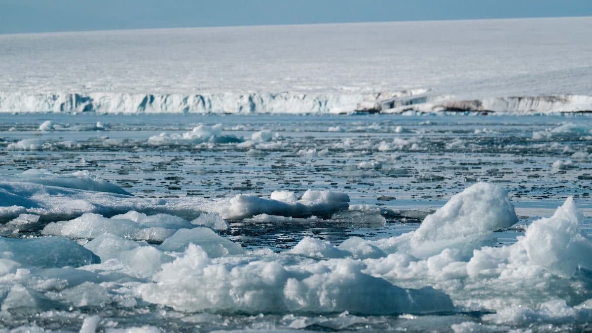 Expansive view of Arctic sea ice floating amidst a serene and untouched polar environment.
