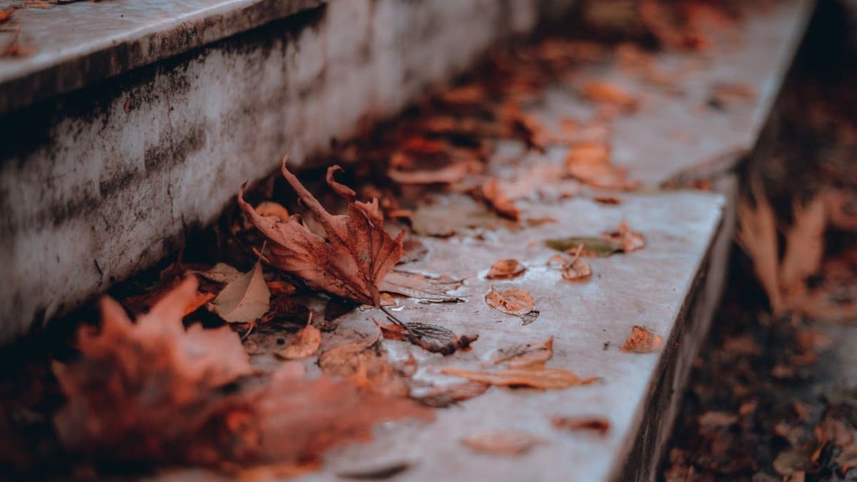 Fallen autumn leaves on wet marble steps in Üsküdar, İstanbul, capturing the essence of fall.