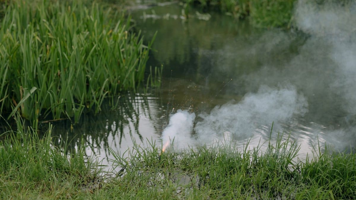 A quiet scene of a wetland with smoke rising, reflecting serene nature and natural environments.