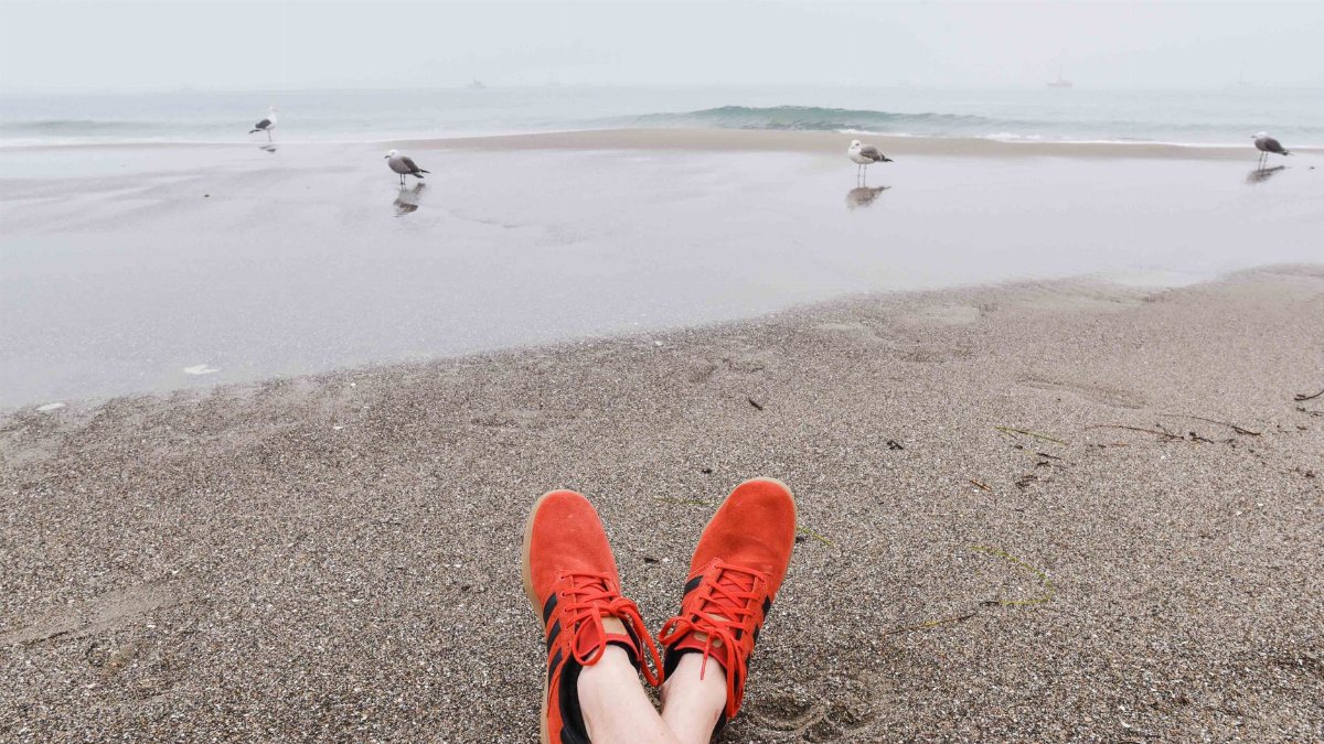 POV of red sneakers on sandy beach with seagulls and waves in the background.
