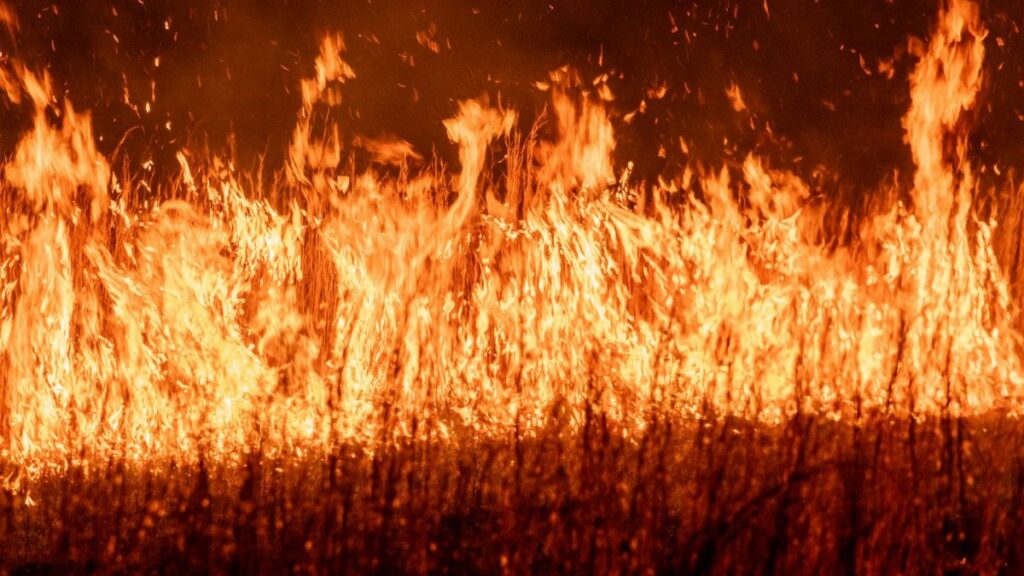 Dynamic image of intense flames during a nighttime field fire, showcasing vibrant heat and energy.