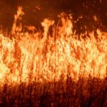 Dynamic image of intense flames during a nighttime field fire, showcasing vibrant heat and energy.