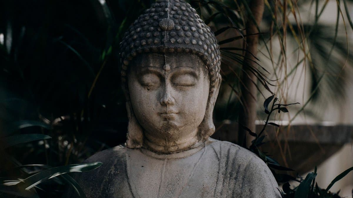 Peaceful Buddha statue surrounded by greenery, perfect for zen and meditation themes.