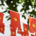 Close-up of Vietnamese flags with yellow stars, strung outdoors against leafy backdrop.