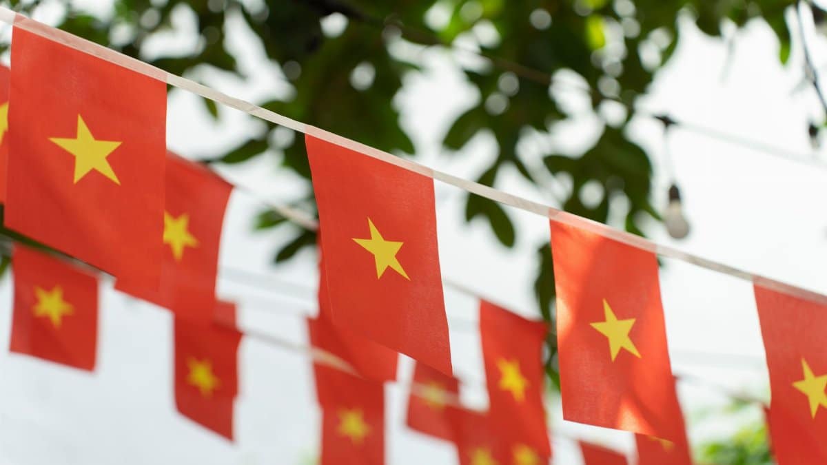 Close-up of Vietnamese flags with yellow stars, strung outdoors against leafy backdrop.