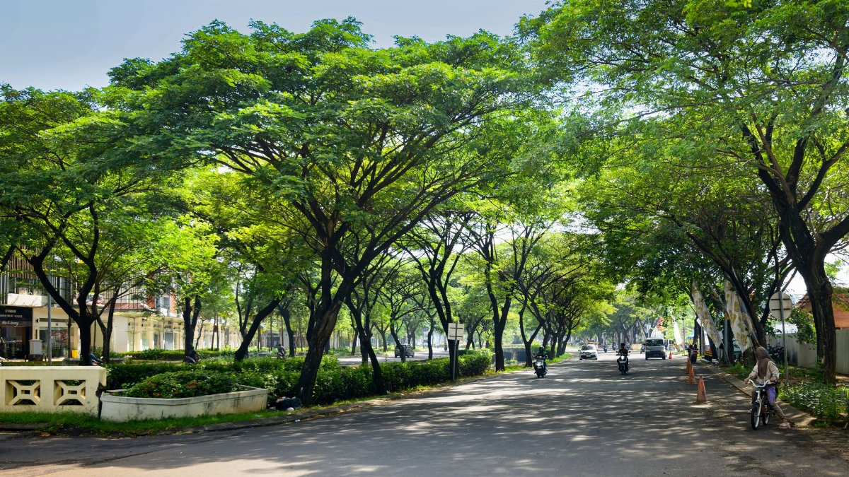 Street lined with lush green trees and motorbikes in Jakarta's sunny day.