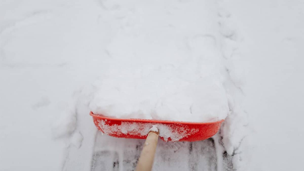 Close-up of a red shovel clearing snow from a driveway in winter.
