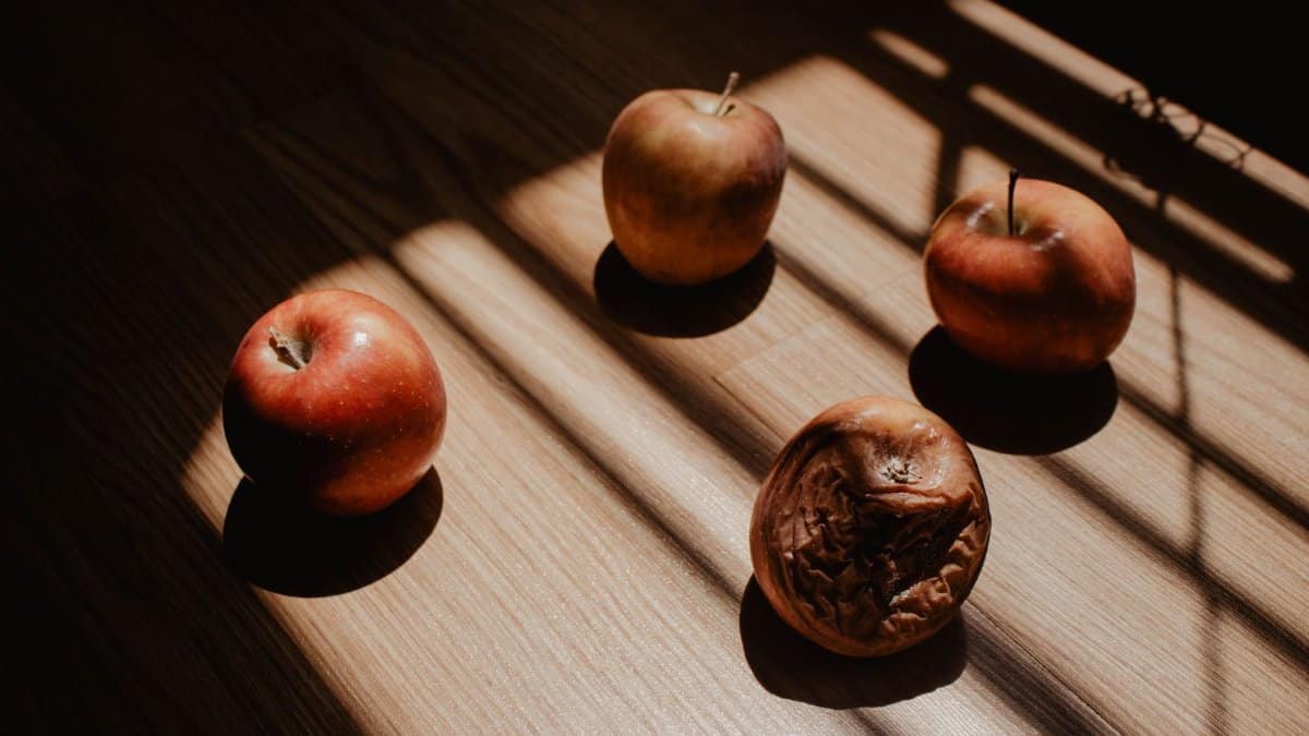 A compelling still life photo showing fresh red apples beside a single rotten apple on wooden surface casting shadows.