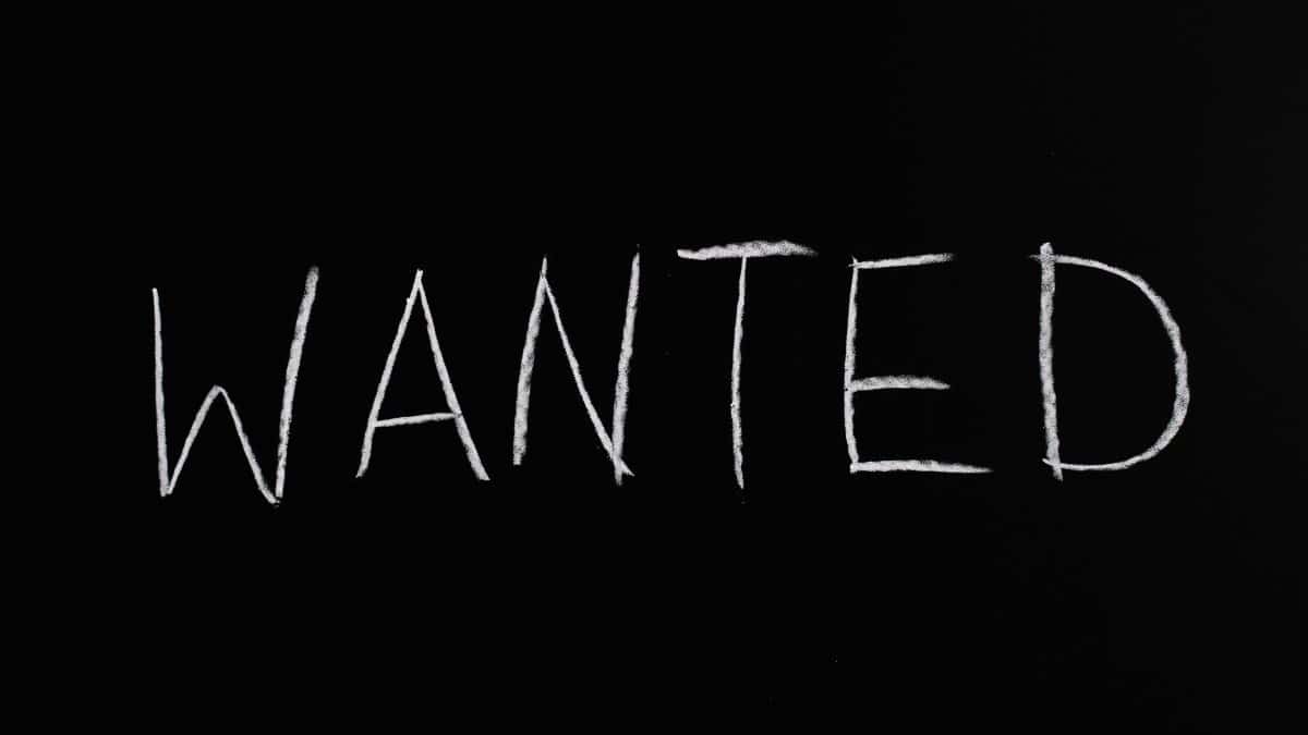 Black chalkboard with 'Wanted' written in white chalk, ideal for hiring or job concept visuals.
