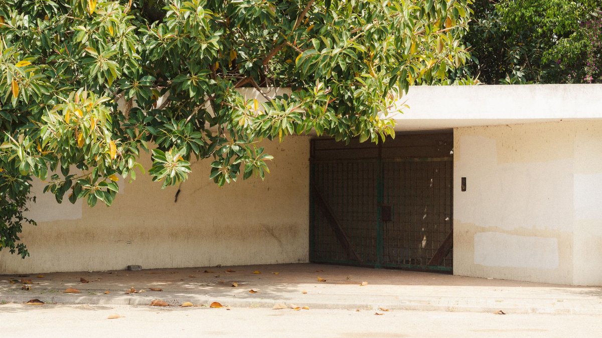 A minimalist concrete garage shaded by lush green foliage on a sunny day.
