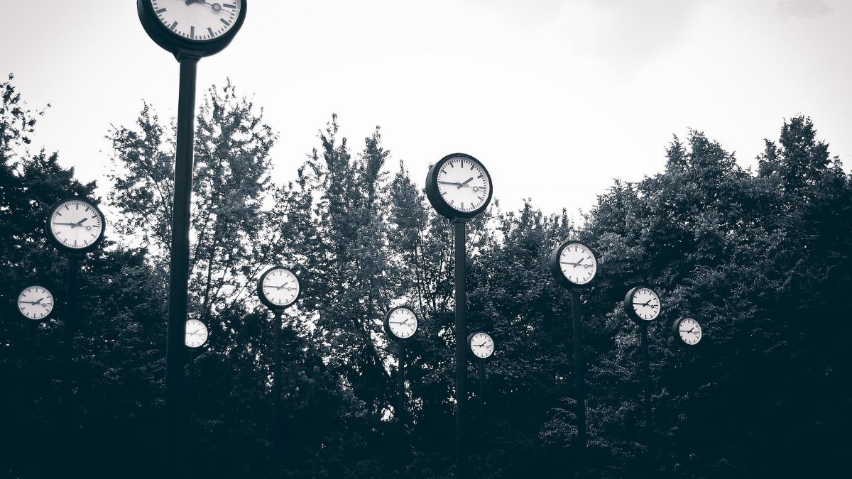 A collection of clocks set against a backdrop of trees in a park, creating a surreal scene.