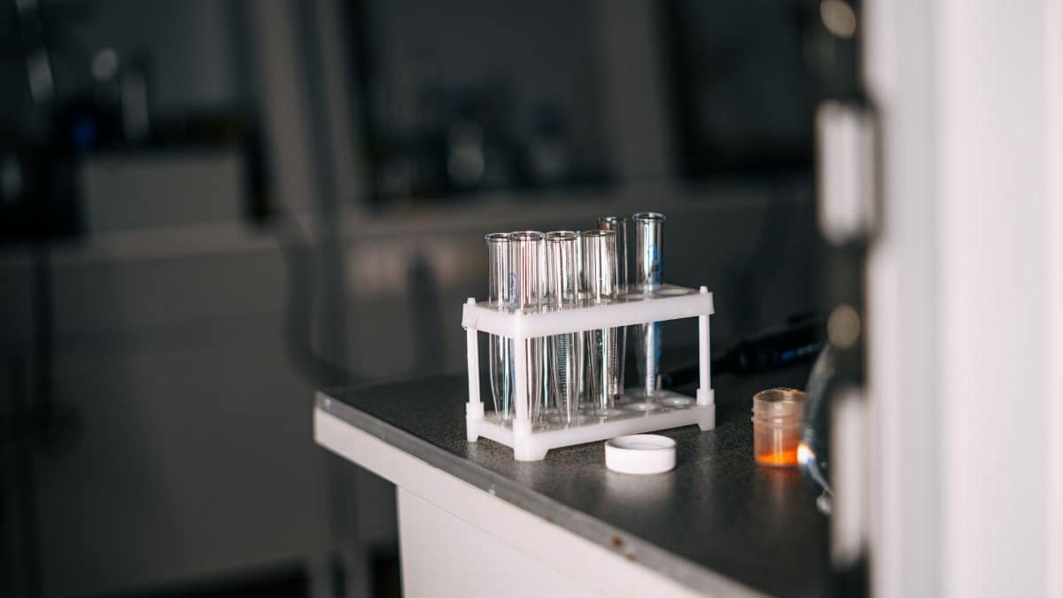 Close-up view of laboratory test tubes and equipment on a lab bench, enhancing scientific exploration.