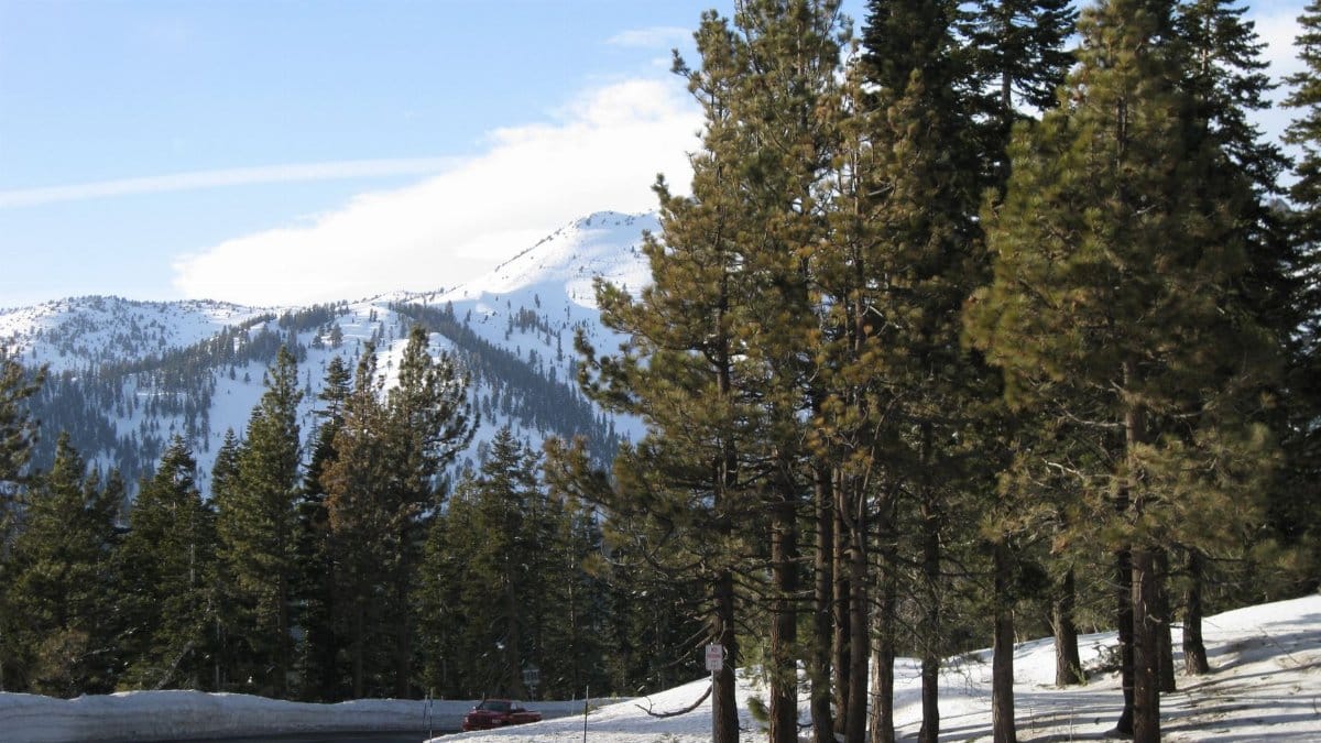 A picturesque winter scene with snow-covered trees and mountains along a road in South Lake Tahoe, California.
