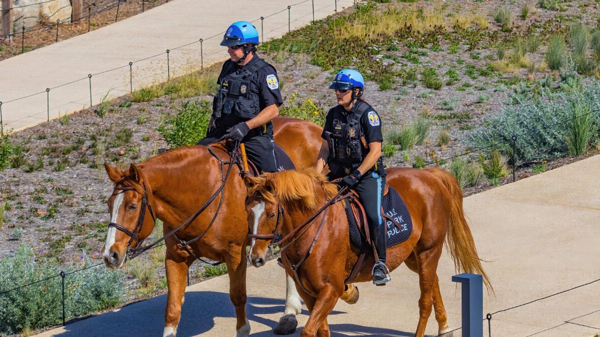 Two police officers on horseback patrolling a park pathway on a sunny day.