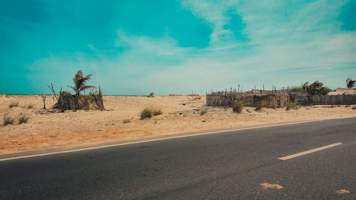 A tranquil desert highway scene with clear blue skies and sparse vegetation, perfect for travel themes.