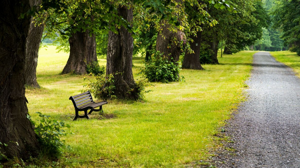 Scenic path in Bruntál park with a bench and lush trees.