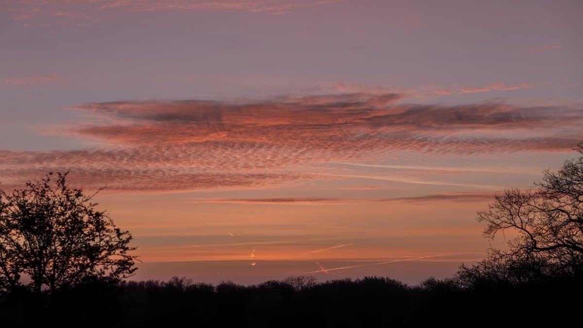 Beautiful sunset with vibrant clouds and trees in Bentveld, Netherlands.