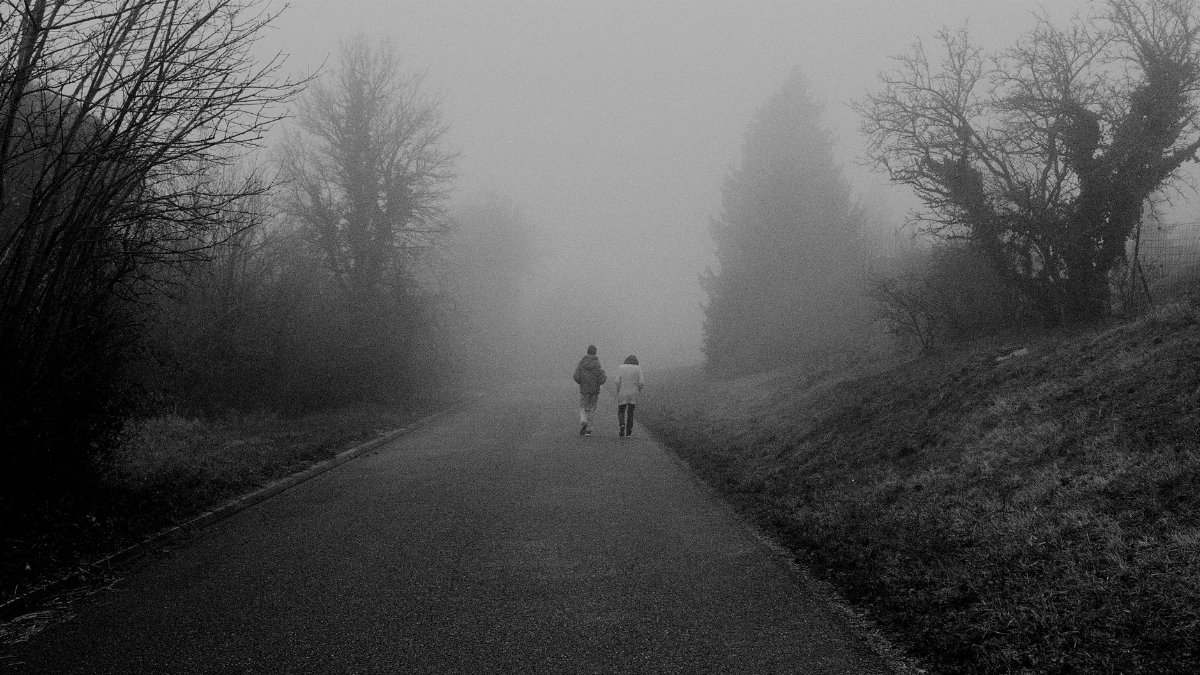Two people walking on a foggy road in a black and white misty landscape.