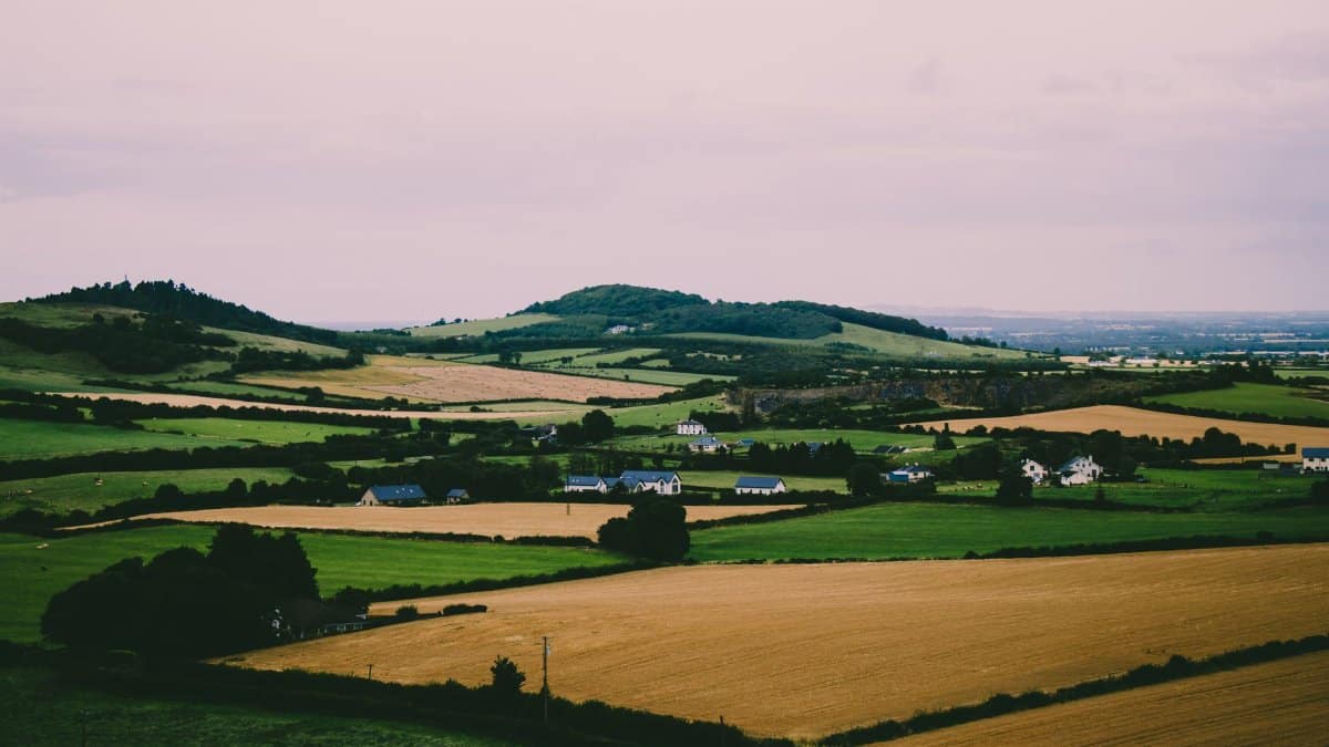 Scenic landscape of Ireland with green fields, rolling hills, and rural houses.