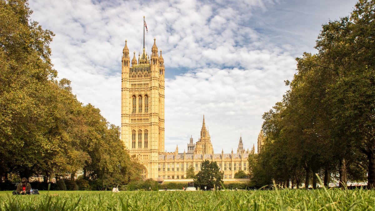 Westminster Palace framed by trees on a sunny day in London park.