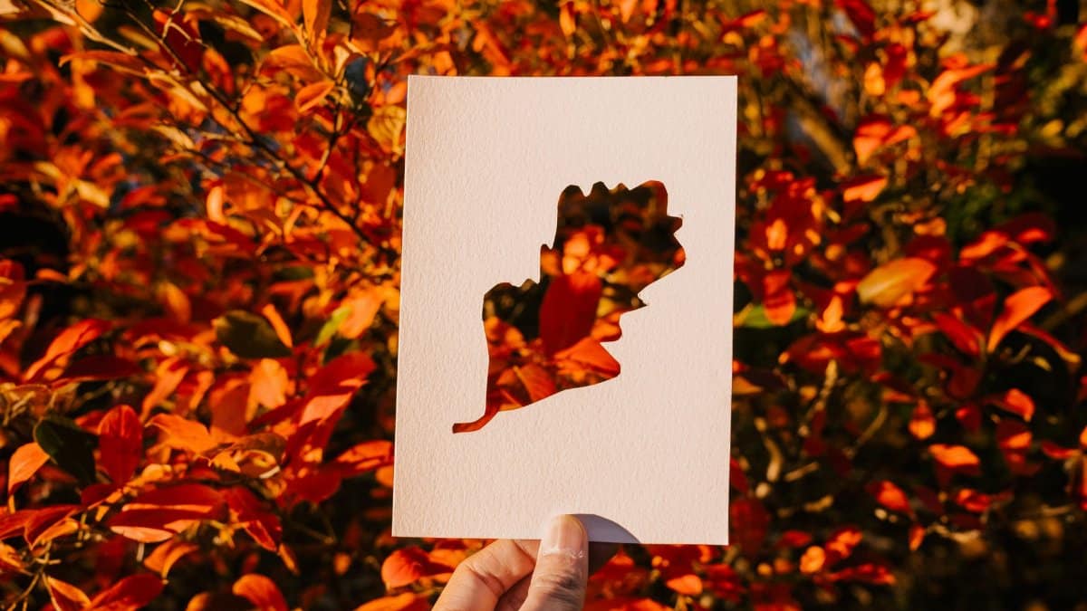 Crop unrecognizable person demonstrating blank sheet of paper with cut out leaf against orange bush in autumn time