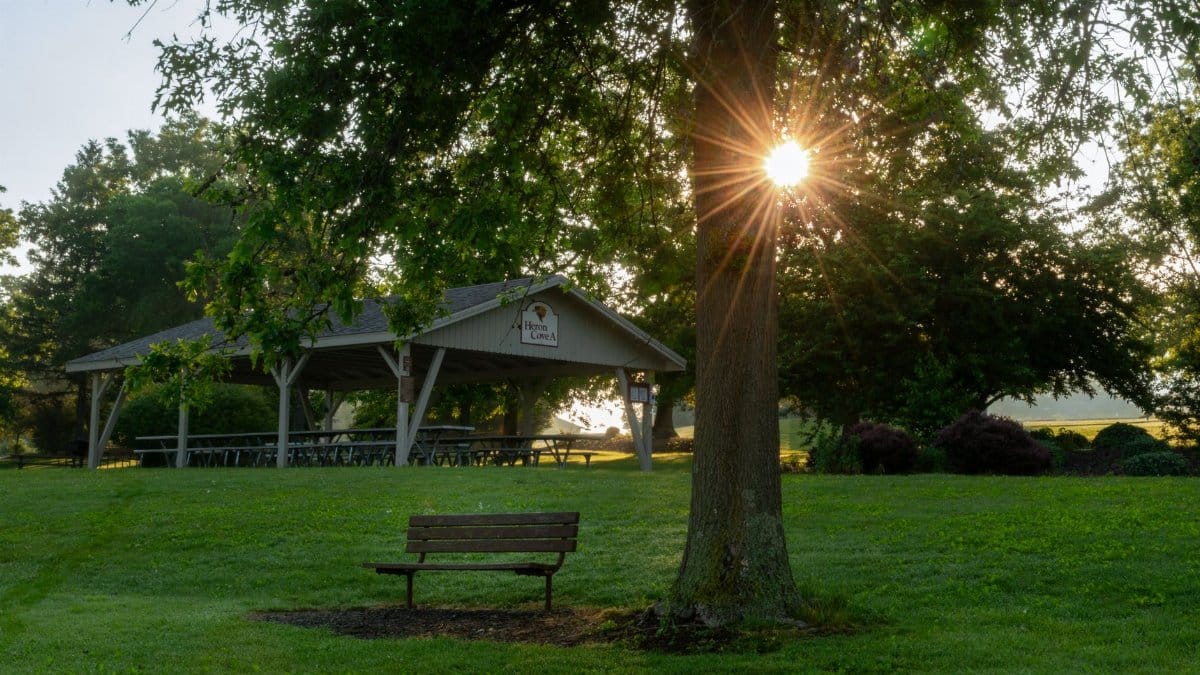 A peaceful park setting featuring a sunlit pavilion and bench under a tree in early morning.
