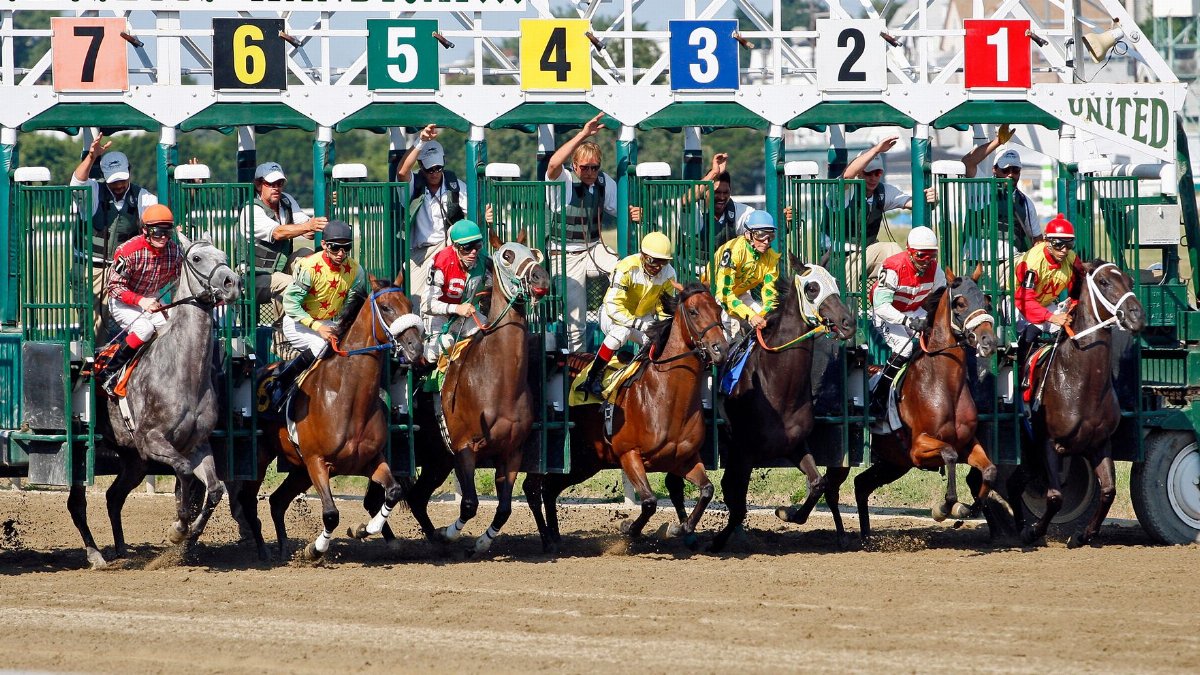 Horse race starting from the gate with jockeys in vibrant uniforms on a sunny day.