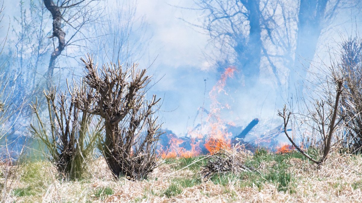Dramatic wildfire spreading across dry grassland with smoke and flames visible.